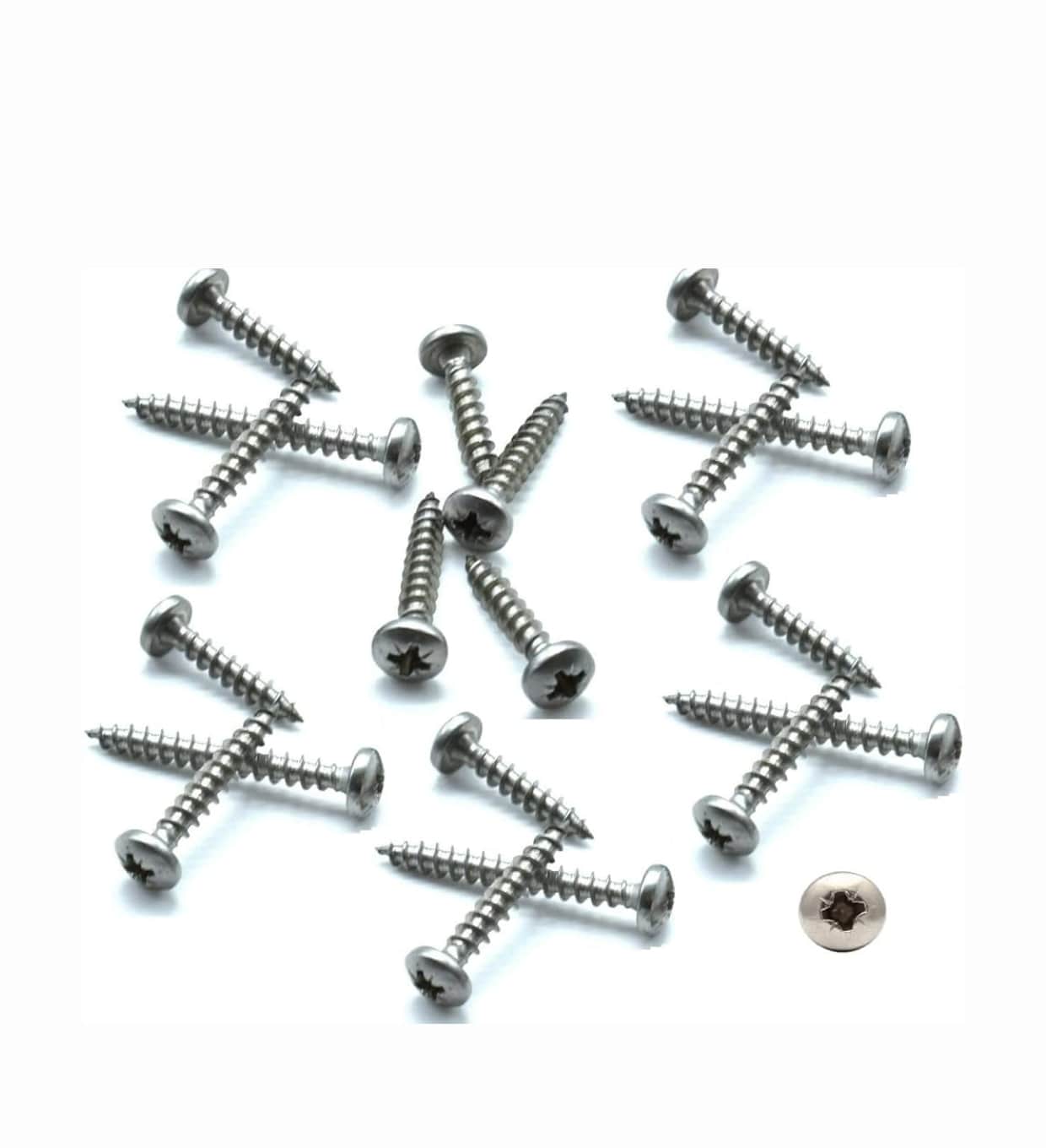 Dome Head Pozi Drive Screws - Eva Pest Products